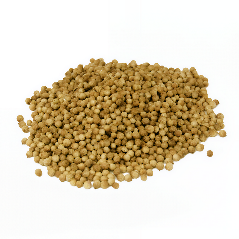 زريعة القزبور (بذور الكزبرة) هي من الأعشاب المعروفة في الطبخ والطب التقليدي المغربي، ولها استخدامات علاجية كثيرة.