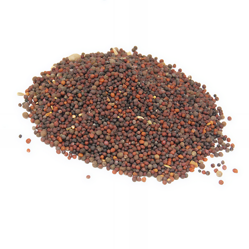 زريعة اللفت (بذور اللفت) تُستخدم في الطب التقليدي المغربي والعربي، وهي أقل شهرة من بعض البذور الأخرى لكنها تحمل فوائد مميزة.